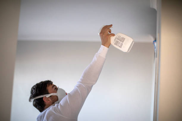 Best Toxic Mold Removal  in South Duxbury, MA