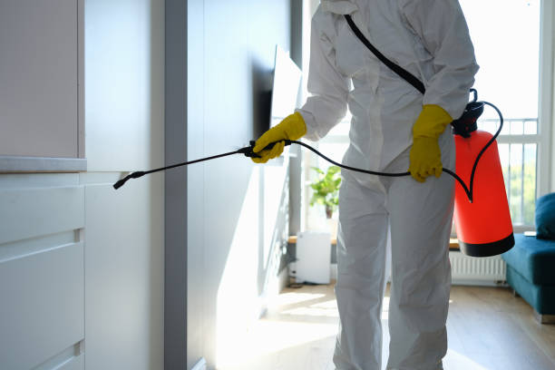 Best Commercial Mold Removal  in South Duxbury, MA
