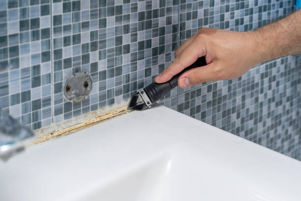Best Professional Mold Removal  in South Duxbury, MA